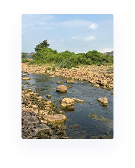 Landscape view
