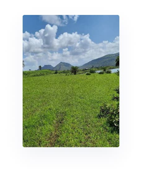 Landscape view