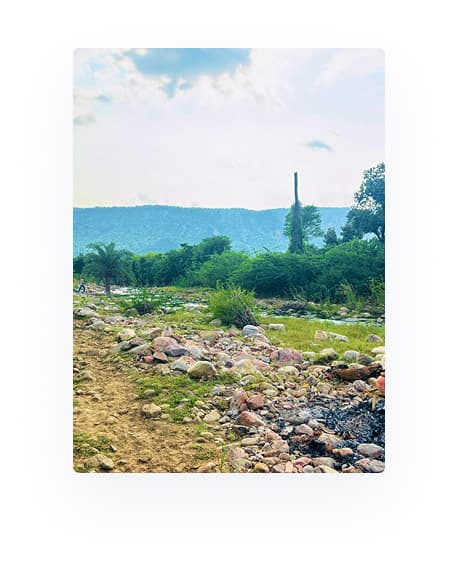 Landscape view